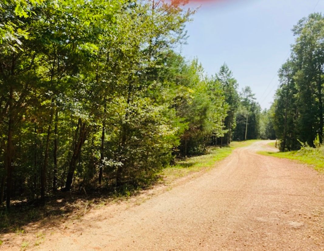 Lot 33 Woodgate Shores Dr: Lot 33 Woodgate Shores Dr, Wedowee, AL 36278